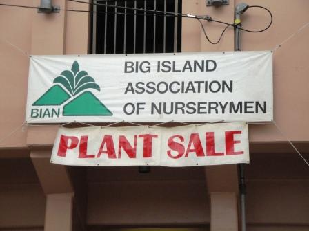 Hilo Plant Sale